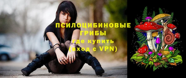 скорость Арсеньев