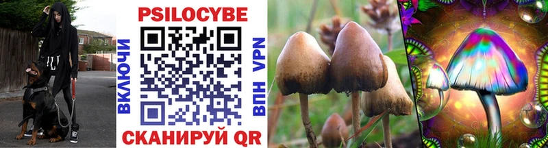 Псилоцибиновые грибы мицелий  купить  сайты  Барабинск 